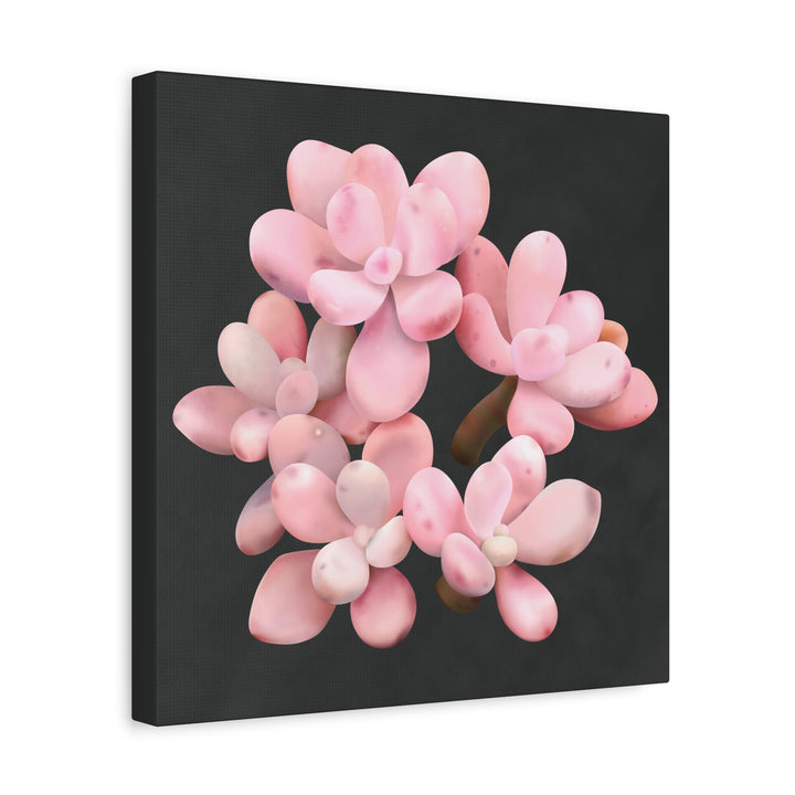 Pink Moonstone Canvas Print – Botanical Wall Art