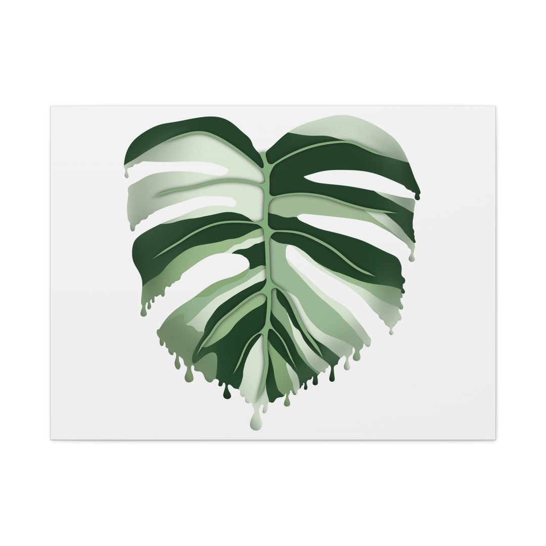 Melting Monstera Albo Canvas Large Indoor Wall Art Print Matte Finish Tropical Home Decor