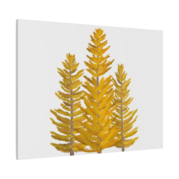Western Larch Canvas Print – Wall Art
