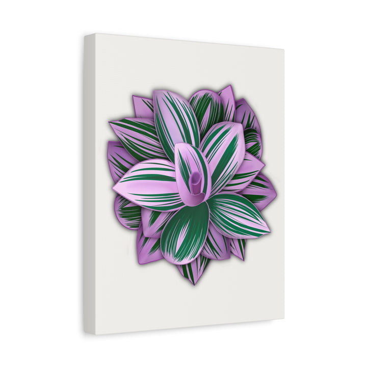 Tradescantia Nanouk Canvas Botanical Wall Art Print Pink Green Foliage On Stretched Cotton Canvas