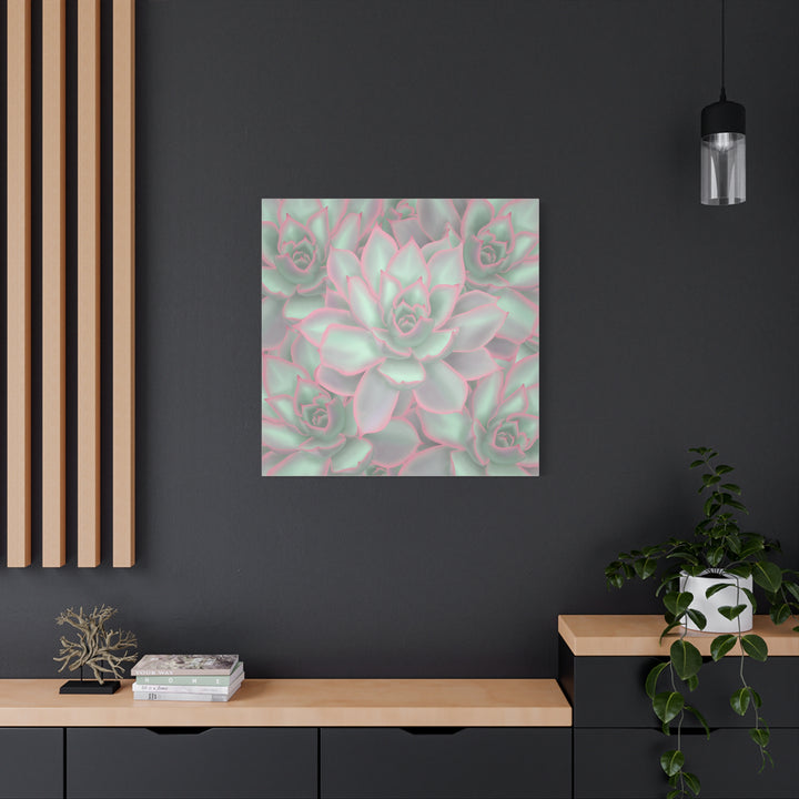 Echeveria Violet Queen Canvas Wall Art Succulent Print Matte Botanical Decor For Indoor Spaces