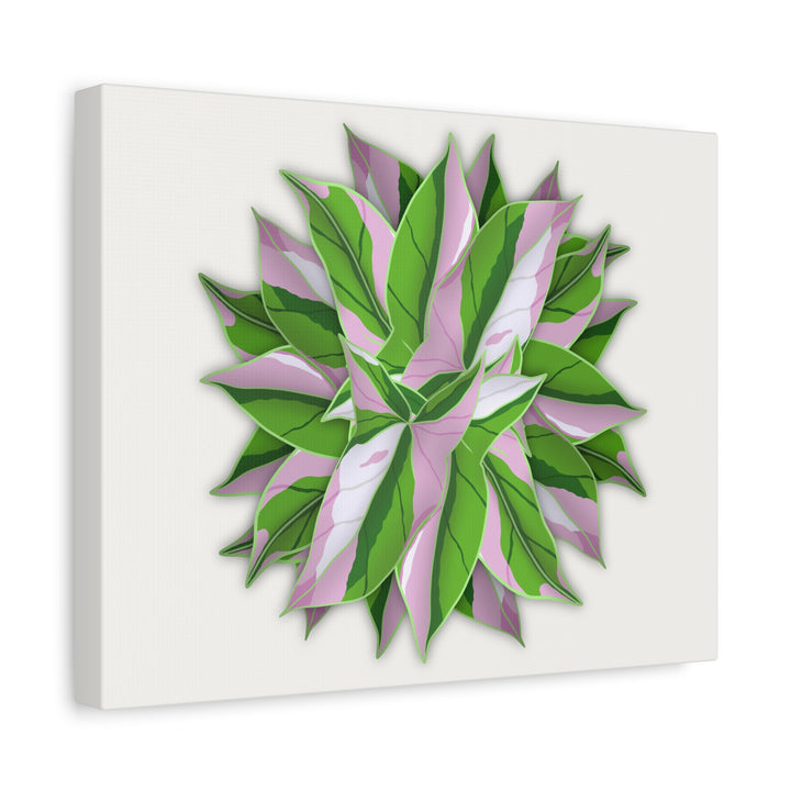 Syngonium Tricolor Canvas Print – Botanical Wall Art - The Potted Pixel