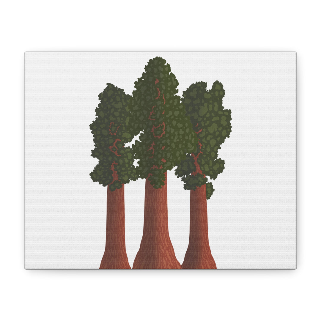 Giant Sequoias Canvas Print – Wall Art