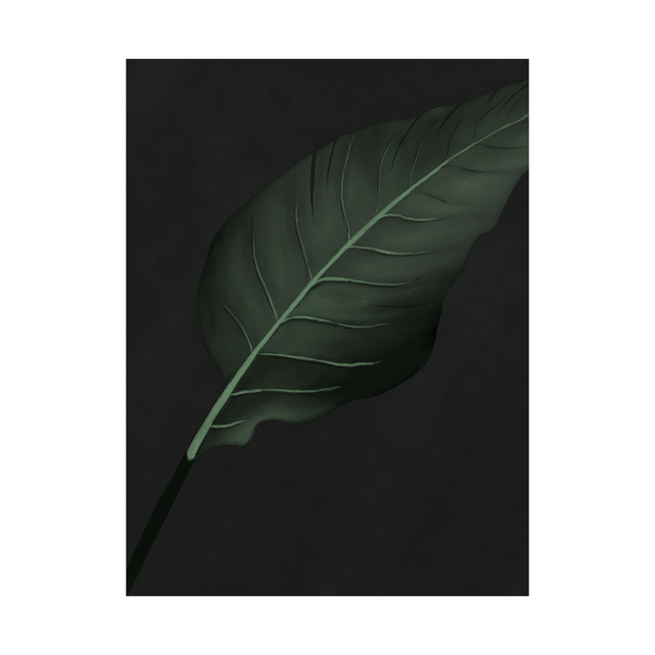 Bird of Paradise Botanical Print – Unframed Wall Art