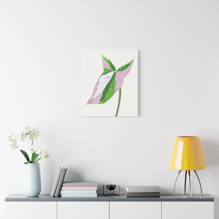 Syngonium Tricolor Canvas Print – Botanical Wall Art - The Potted Pixel