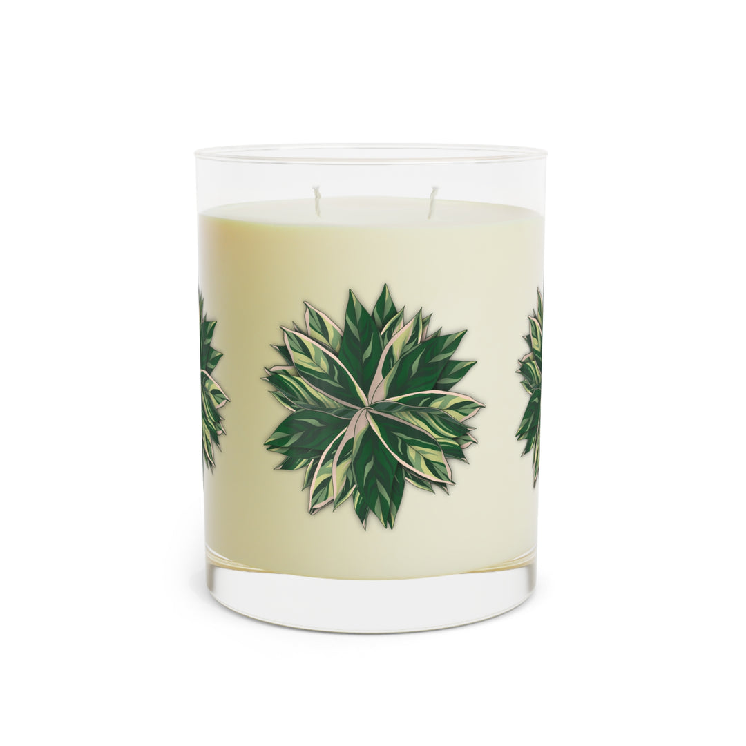 Stromanthe Triostar 11oz Scented Soy Candle Trio White Tea Fig Minted Lavender And Sage Ocean Mist Moss