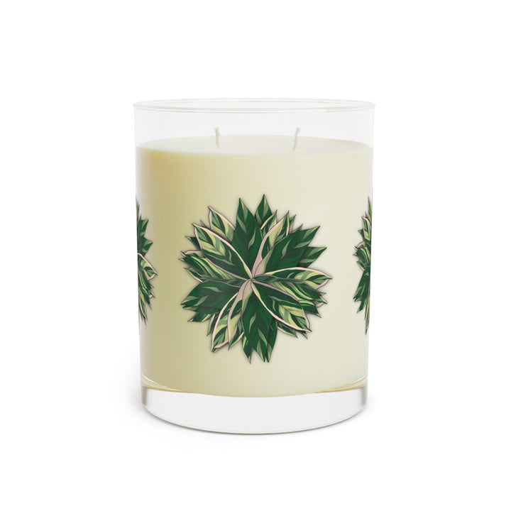 Stromanthe Triostar 11oz Scented Soy Candle Trio White Tea Fig Minted Lavender And Sage Ocean Mist Moss