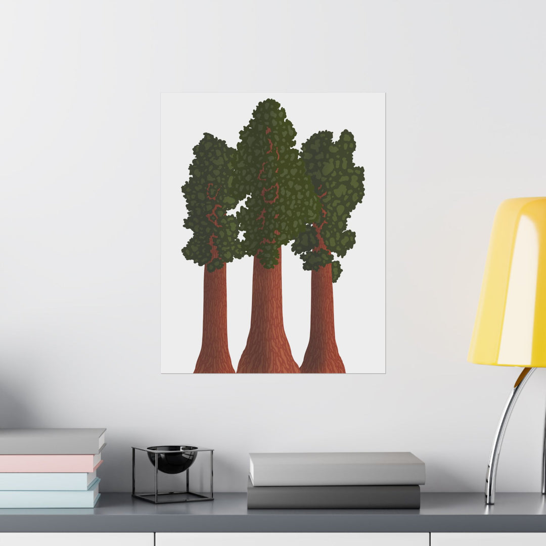 Giant Sequoias Print – Unframed Wall Art