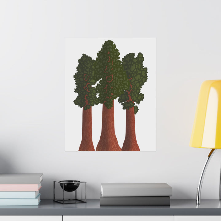 Giant Sequoias Print – Unframed Wall Art