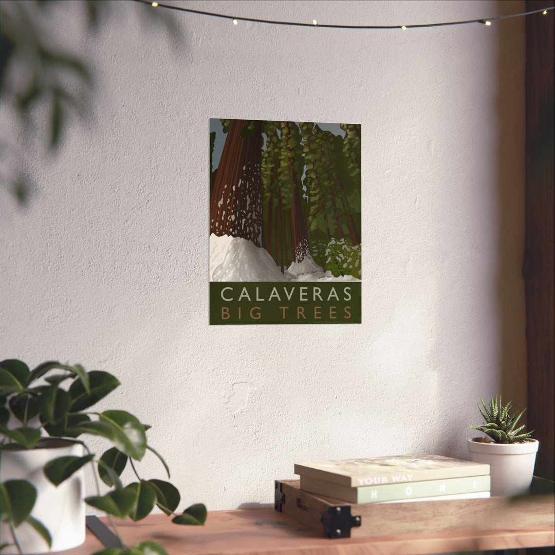 Calaveras Big Trees Print – Unframed Wall Art