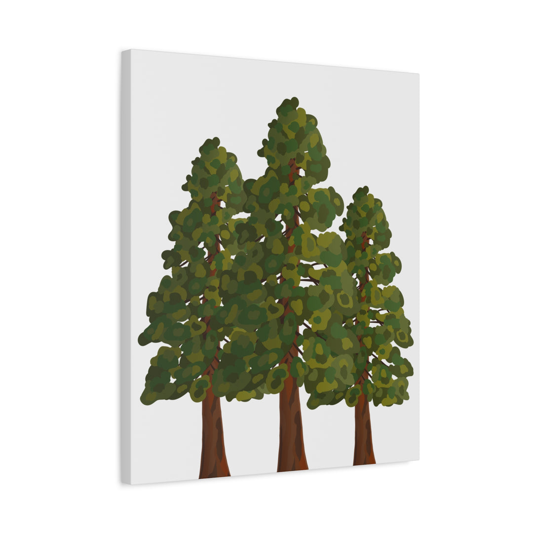 Coastal Redwoods Matte Canvas Print On 1.25 Inch Stretched Canvas For Serene Forest Wall Art In Living Rooms