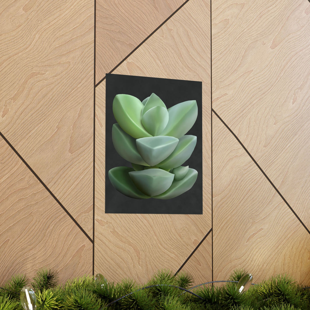 Crassula Botanical Print – Unframed Wall Art