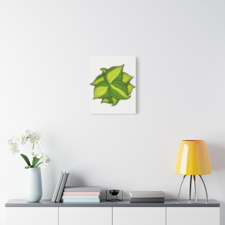 Philodendron Brasil Canvas Print Matte Stretched Canvas Indoor Plant Art For Modern Greenery Decor