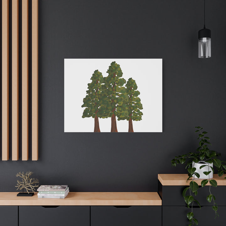 Coastal Redwoods Matte Canvas Print On 1.25 Inch Stretched Canvas For Serene Forest Wall Art In Living Rooms