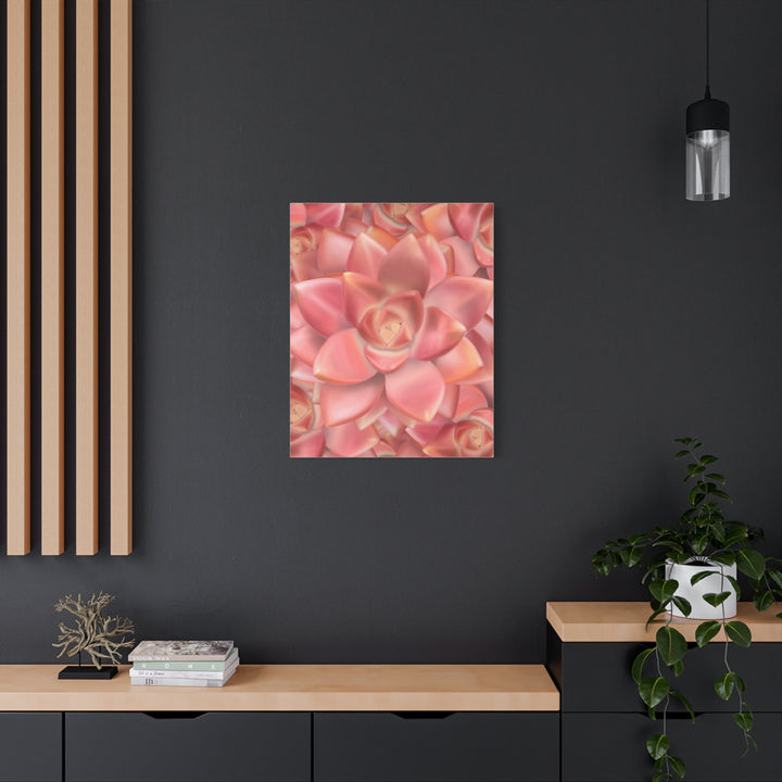 Graptosedum California Sunset Succulent Canvas Print – Botanical Wall Art - The Potted Pixel
