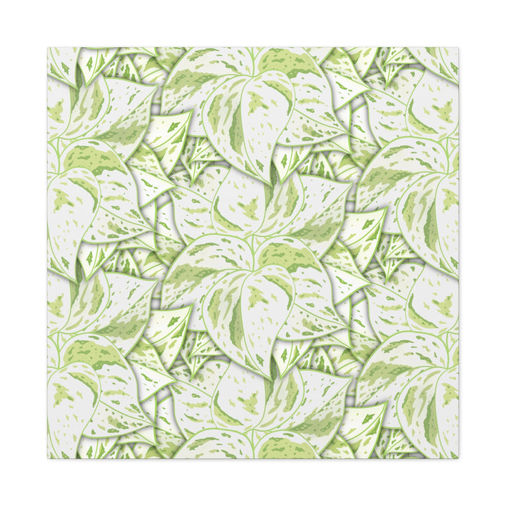 Snow Queen Pothos Canvas Print With Variegated White Leaves In Matte Finish For Modern Home Decor