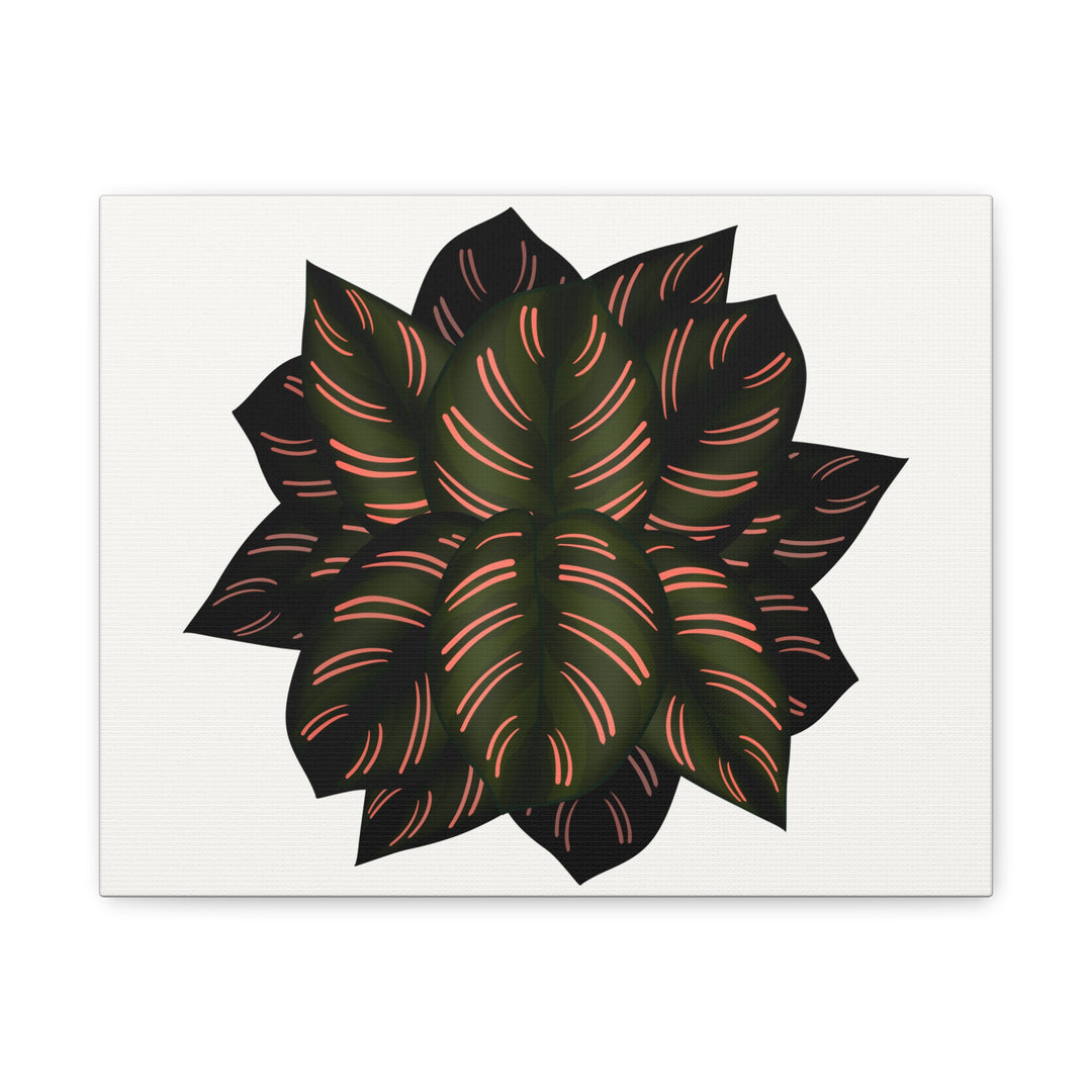 Calathea Pinstripe Canvas Botanical Wall Art Print On Stretched Cotton Canvas For Living Room Decor