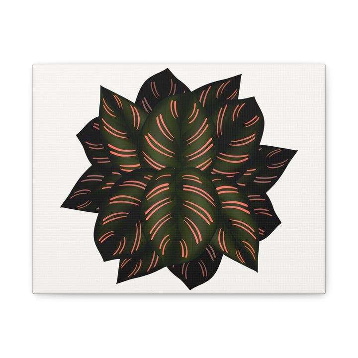 Calathea Pinstripe Canvas Botanical Wall Art Print On Stretched Cotton Canvas For Living Room Decor