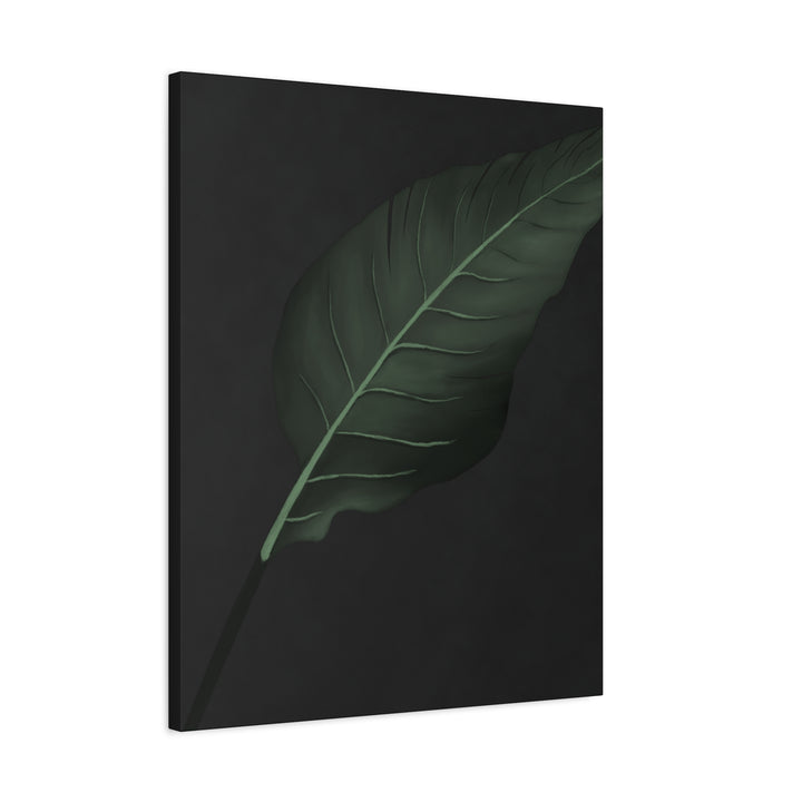 Bird of Paradise Canvas Print – Botanical Wall Art