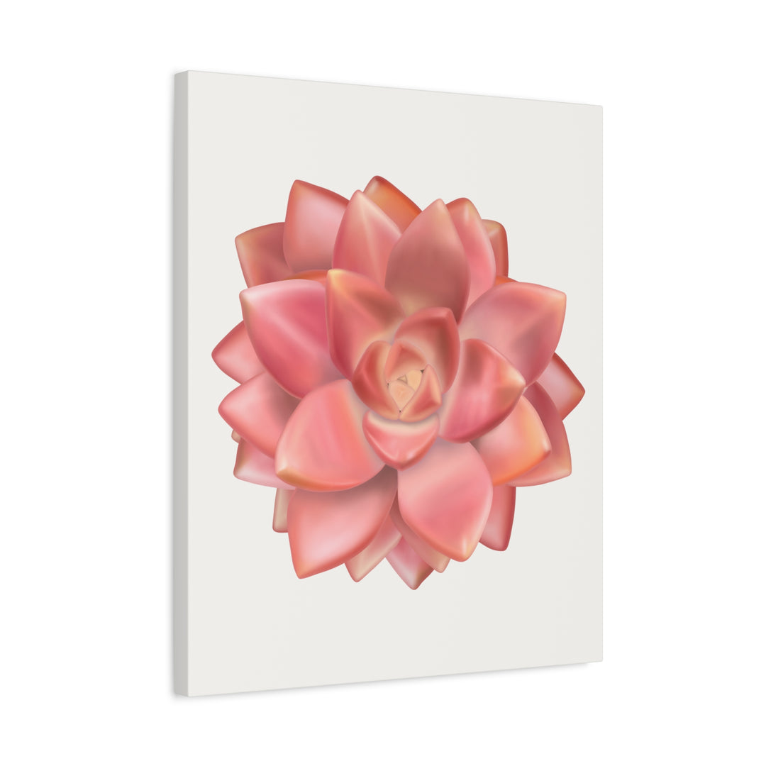 Succulent Canvas Art California Sunset Rosette Botanical Wall Art Print The Potted Pixel