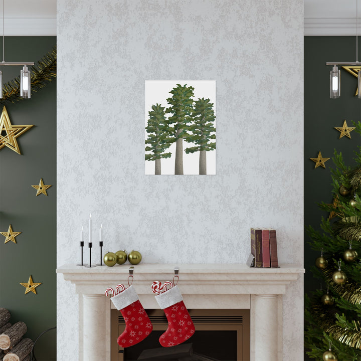 Sitka Spruce Print – Unframed Wall Art
