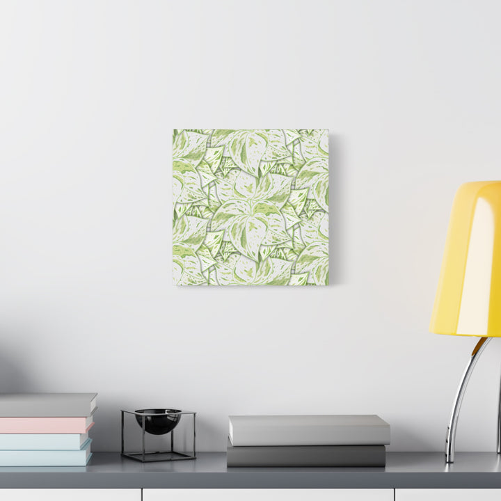 Snow Queen Pothos Canvas Print With Variegated White Leaves In Matte Finish For Modern Home Decor