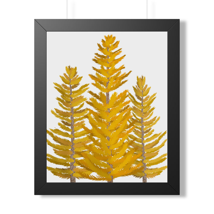 Western Larch Framed Print – Wall Art