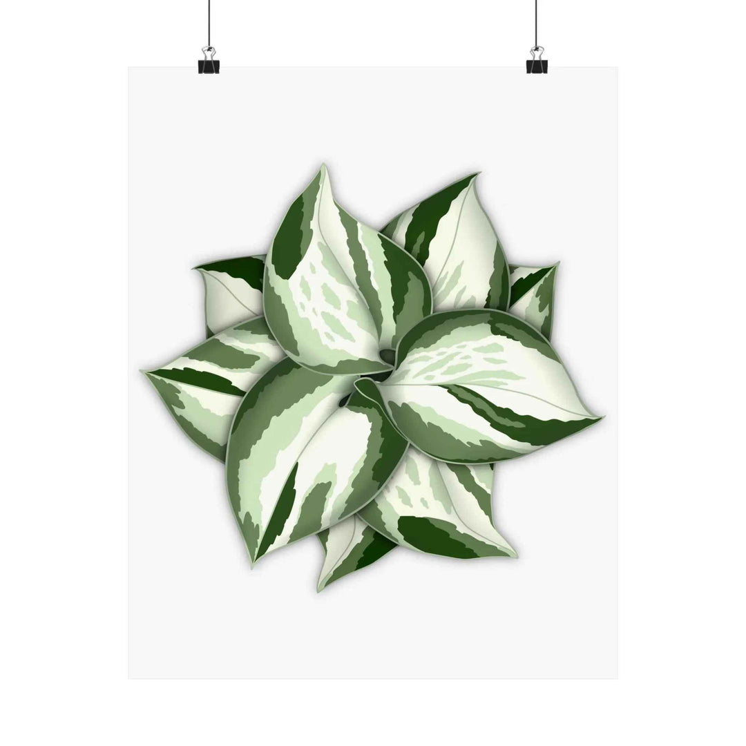 Manjula Pothos Print – Botanical Wall Art | Green Leaf Wall Decor | Unframed - The Potted Pixel
