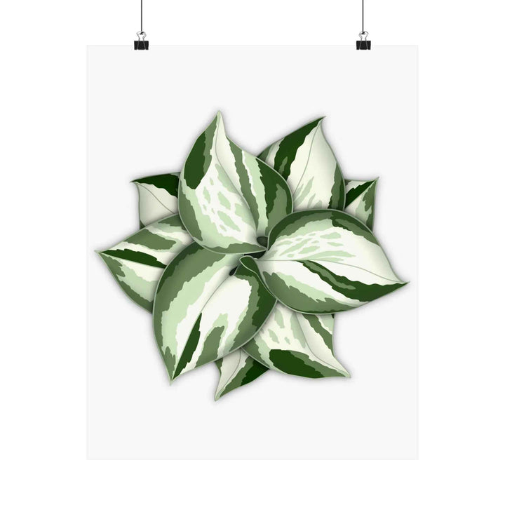 Manjula Pothos Print – Botanical Wall Art | Green Leaf Wall Decor | Unframed - The Potted Pixel