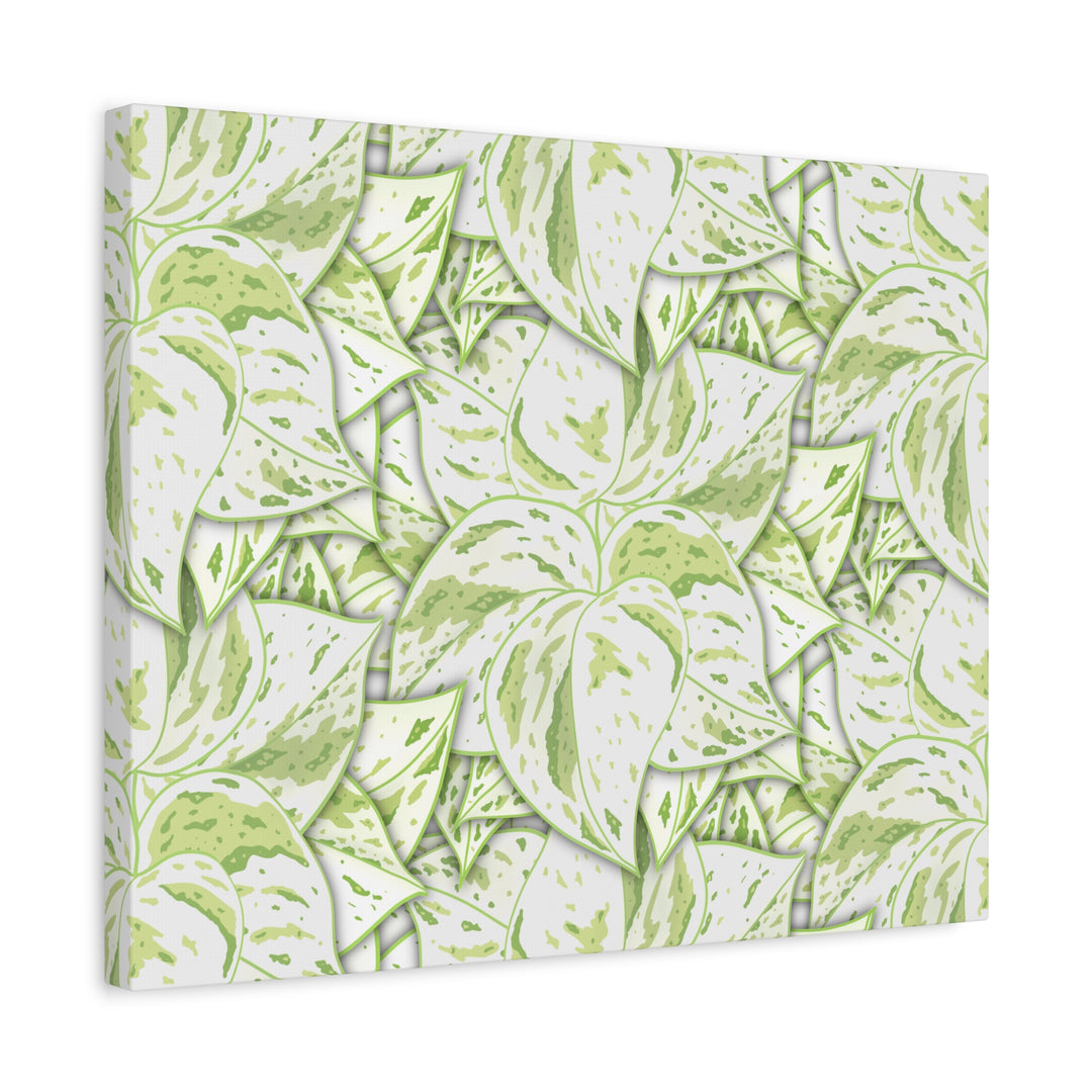 Snow Queen Pothos Canvas Print With Variegated White Leaves In Matte Finish For Modern Home Decor