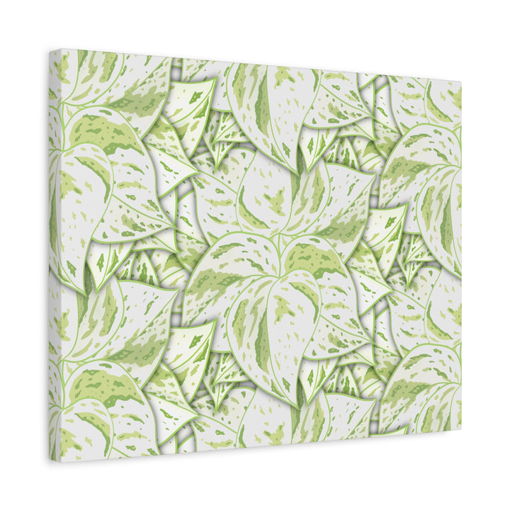 Snow Queen Pothos Canvas Print With Variegated White Leaves In Matte Finish For Modern Home Decor