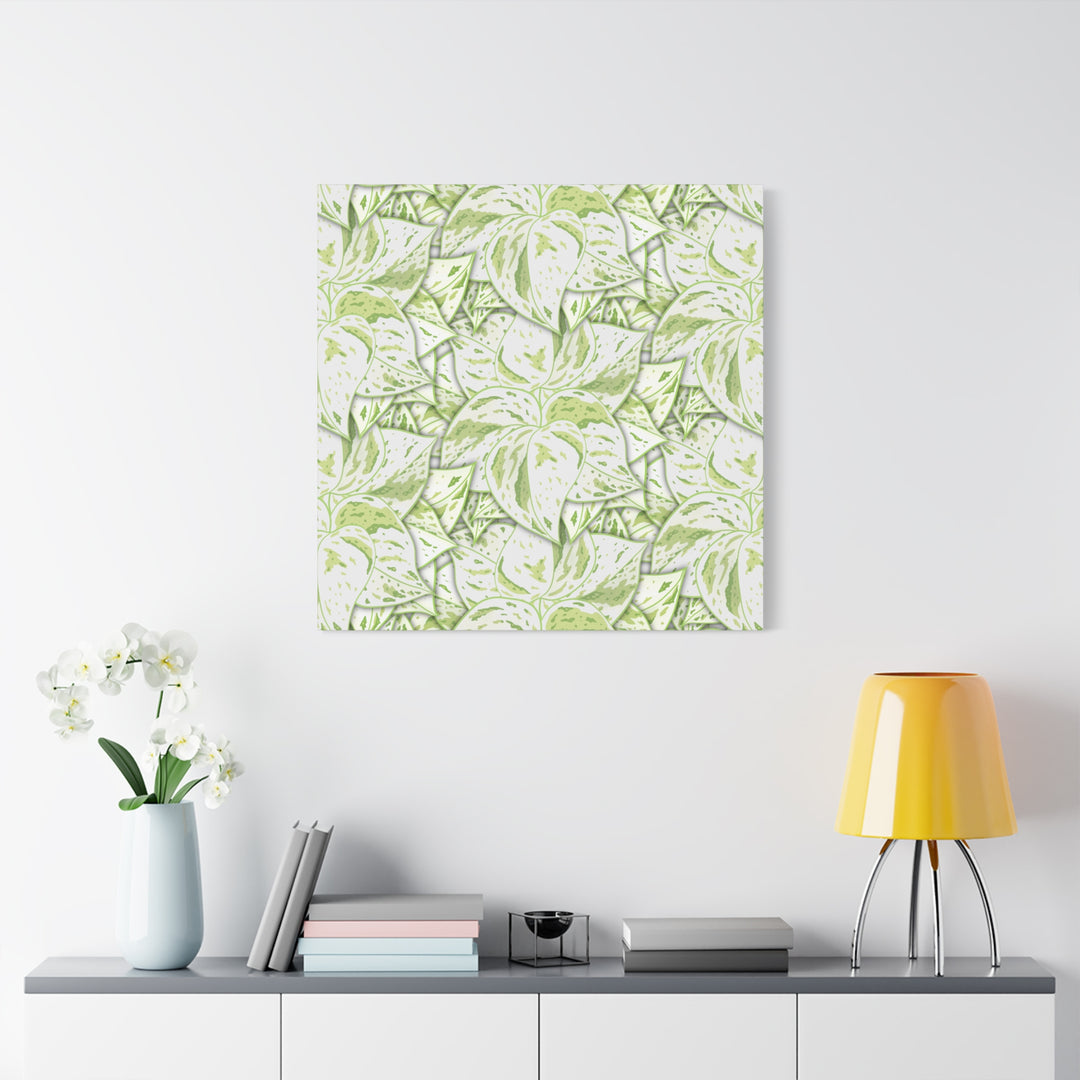 Snow Queen Pothos Canvas Print With Variegated White Leaves In Matte Finish For Modern Home Decor