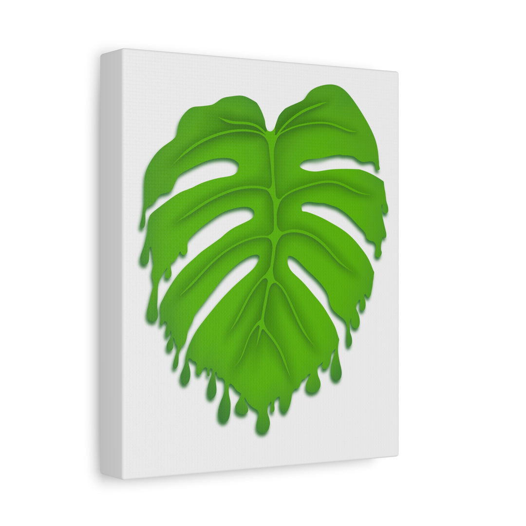 Melting Monstera Canvas Wall Art Large Botanical Print On Premium Cotton With Matte Finish For Indoor Decor