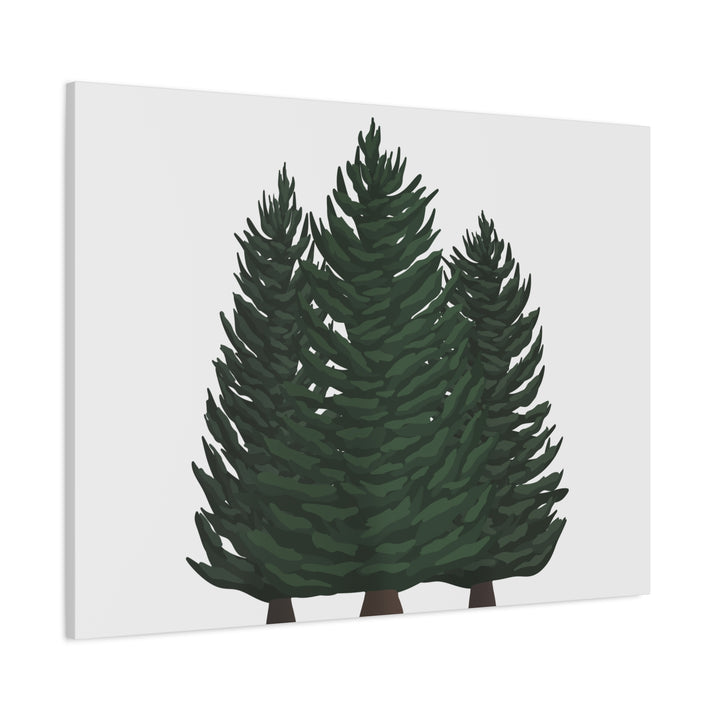 Douglas Fir Canvas Print – Wall Art