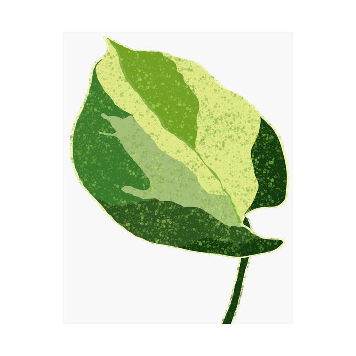 Pothos Wall Art – Botanical Poster on Museum Grade Paper | Indoor Plant Print Unframed - The Potted Pixel