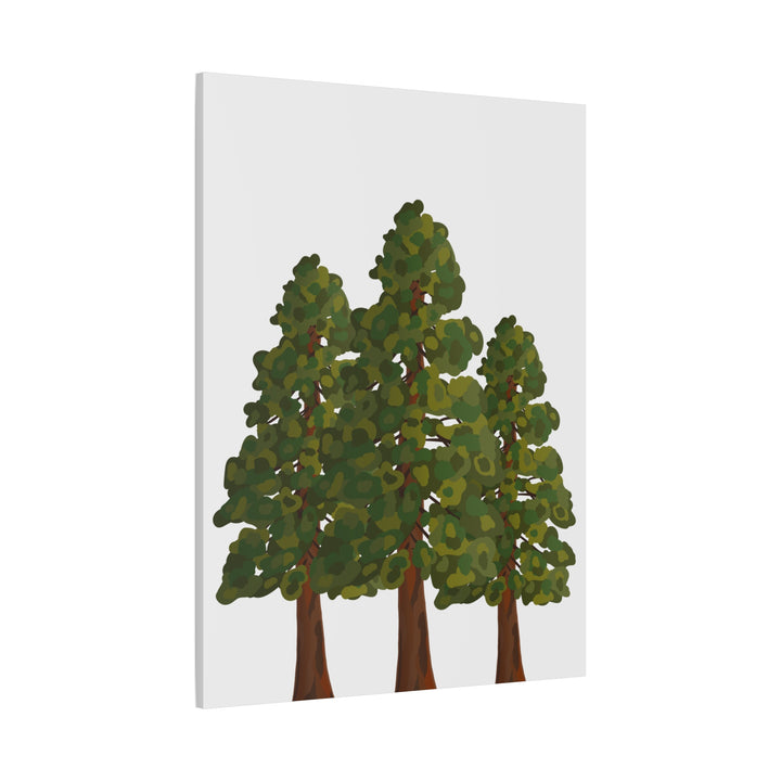 Coastal Redwoods Matte Canvas Print On 1.25 Inch Stretched Canvas For Serene Forest Wall Art In Living Rooms