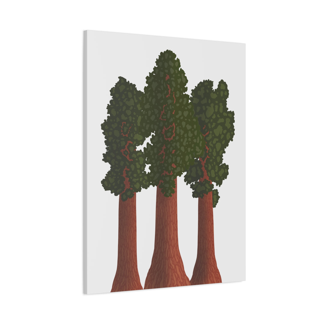 Giant Sequoias Canvas Print – Wall Art