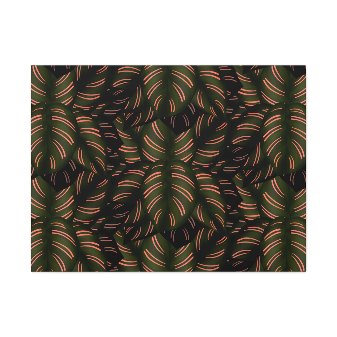 Calathea Pinstripe Canvas Print With Matte Finish Stretched Botanical Wall Art For Living Room Decor