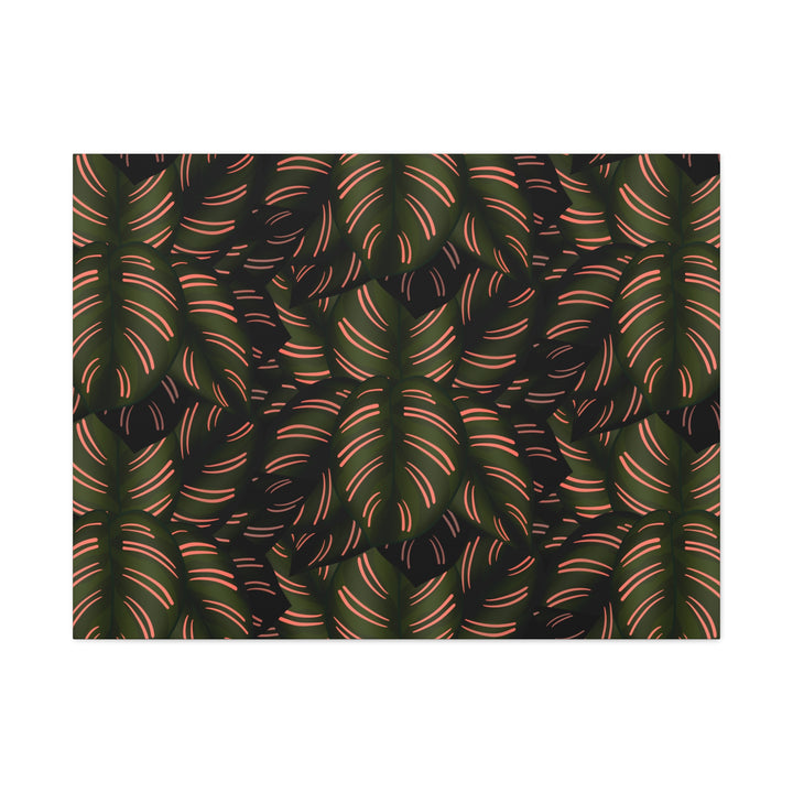 Calathea Pinstripe Canvas Print With Matte Finish Stretched Botanical Wall Art For Living Room Decor