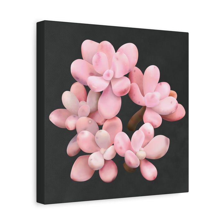 Pink Moonstone Canvas Print – Botanical Wall Art