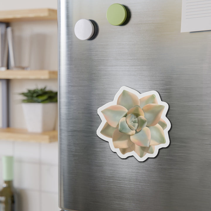 Graptoveria Titubans Succulent Magnet