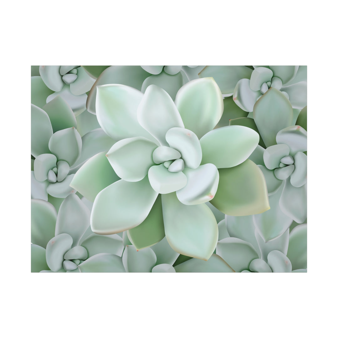 Pachyveria Haagei Succulent Pattern Canvas Art for Modern Home Decor 16x20 Matte Print