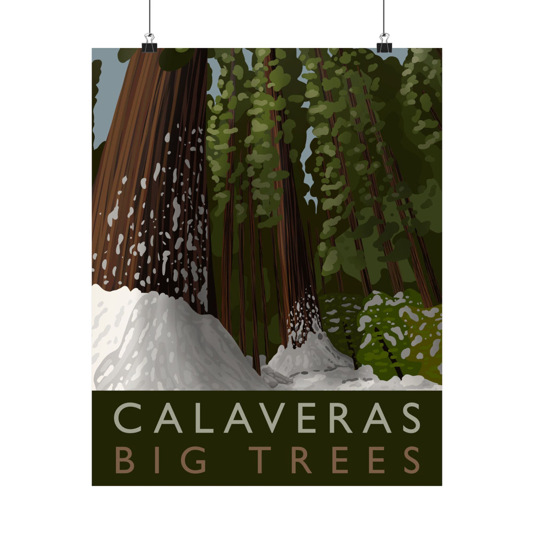 Calaveras Big Trees Print – Unframed Wall Art