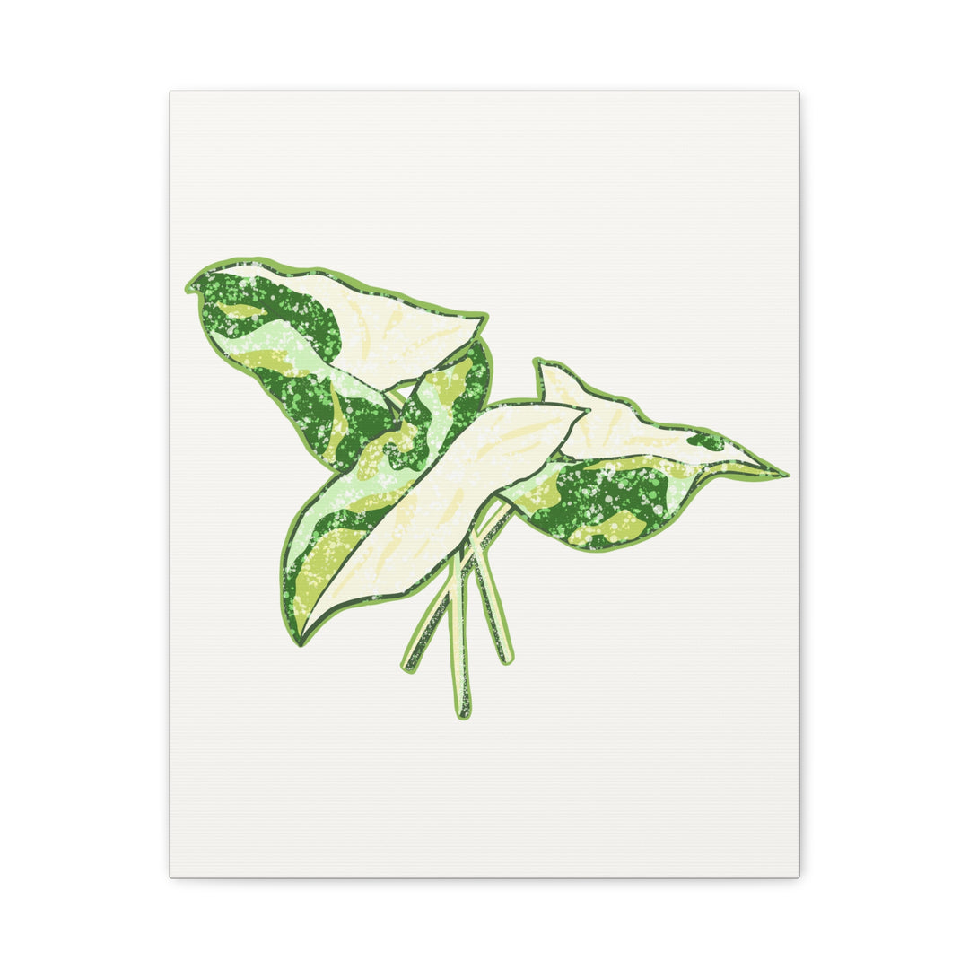 Marble Syngonium Canvas Botanical Wall Art Stretched Print On Durable Cotton Canvas Matte Finish