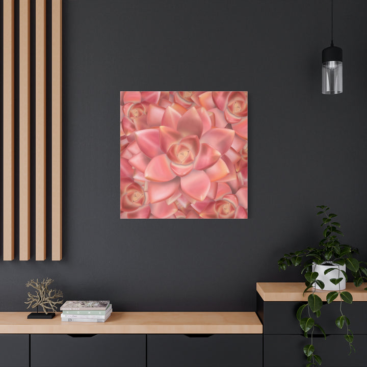 Graptosedum California Sunset Succulent Canvas Print – Botanical Wall Art - The Potted Pixel