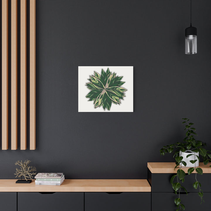 Stromanthe Triostar Canvas Wall Art Premium Matte Finish On Durable 1.25 Inch Frame For Vibrant Indoor Tropical Decor