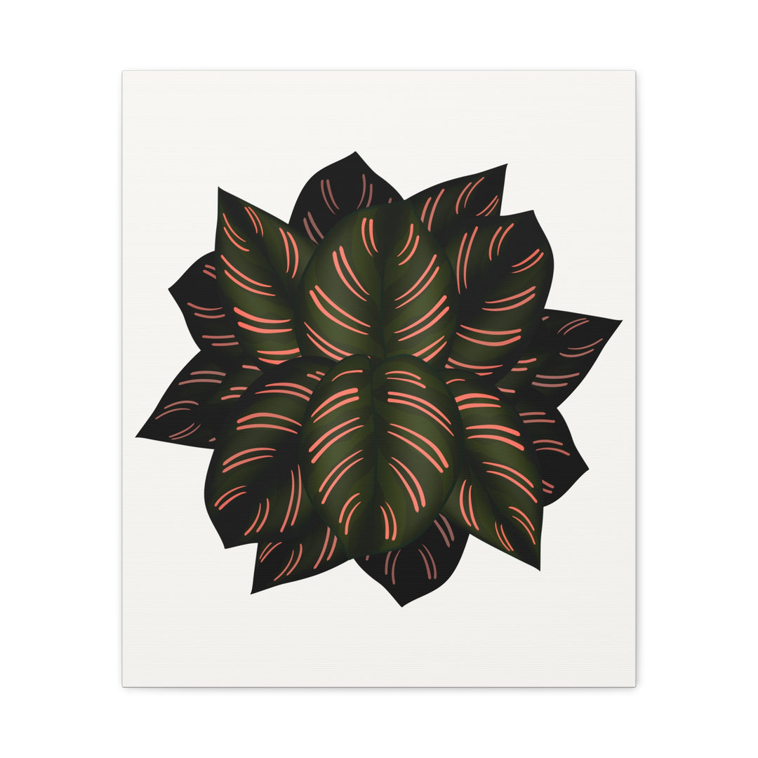 Calathea Pinstripe Canvas Botanical Wall Art Print On Stretched Cotton Canvas For Living Room Decor