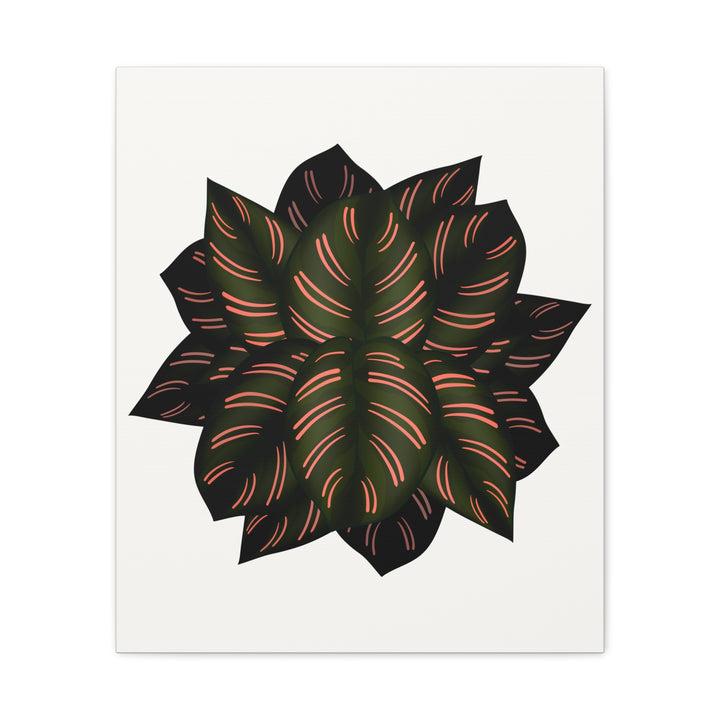 Calathea Pinstripe Canvas Botanical Wall Art Print On Stretched Cotton Canvas For Living Room Decor