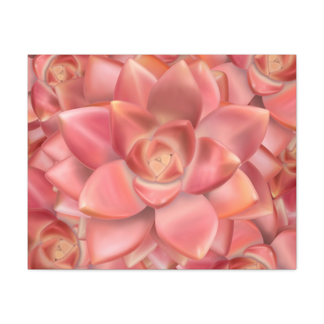 Graptosedum California Sunset Succulent Canvas Print – Botanical Wall Art - The Potted Pixel