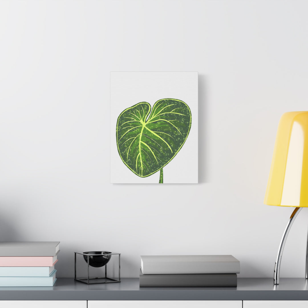 Philodendron Gloriosum Canvas Print Stretched Wall Art Botanical Leaf Print Matte Finish Gallery Wrapped Canvas